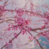 Cherry Blossom Botanical Print